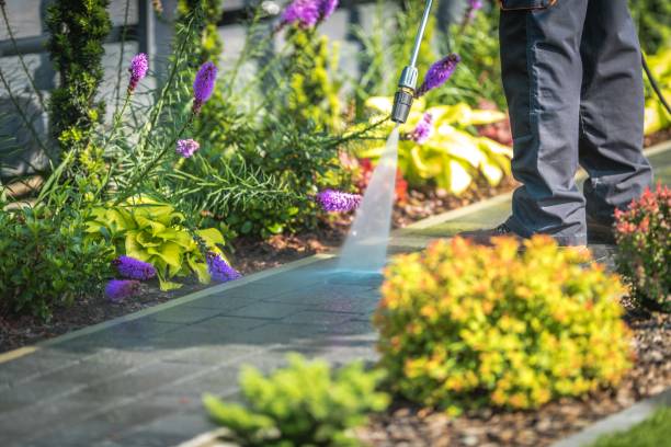 Best Post-Construction Pressure Washing  in Gold River, CA